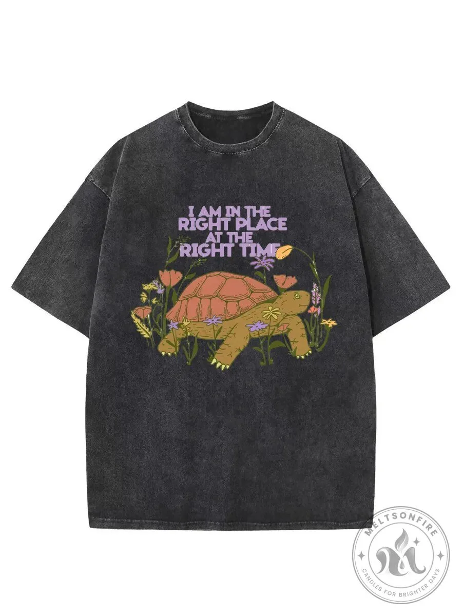 Vintage I Am In The Right Place At The Right Time Turtle Washed T-Shirt